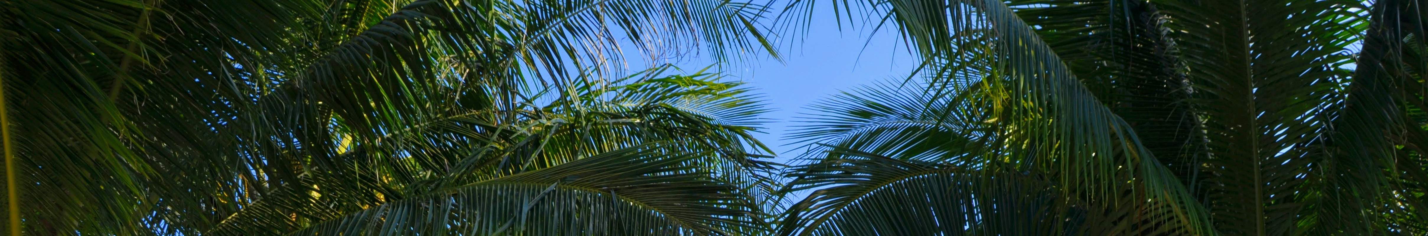 PADI Advanced Open Water Diver