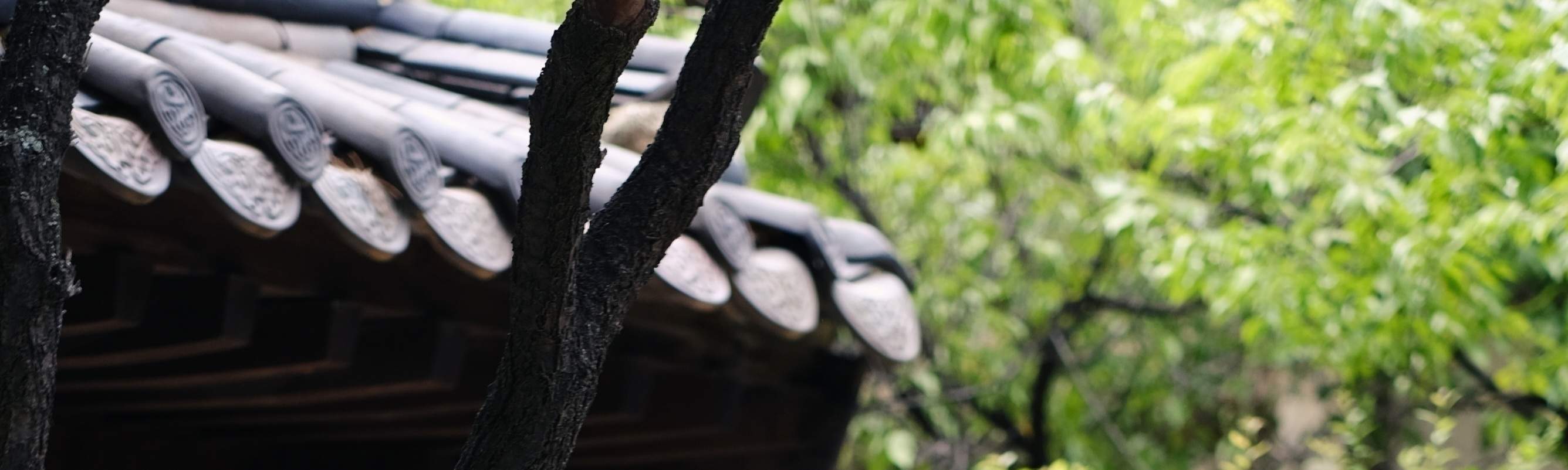 我们的儿童韩服系列从1岁婴儿的尺码开始。如需儿童韩服，请选择“奢华韩服”类别。