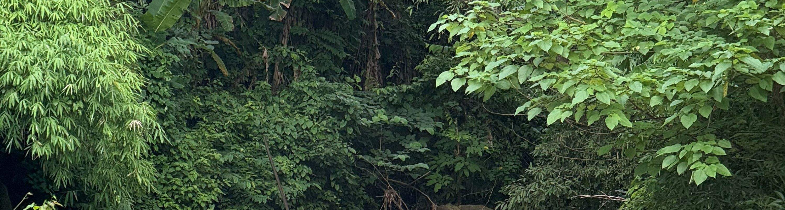 Penerokaan Kehidupan Ladang Setengah/Sehari Penuh Dari Tanah ke Meja