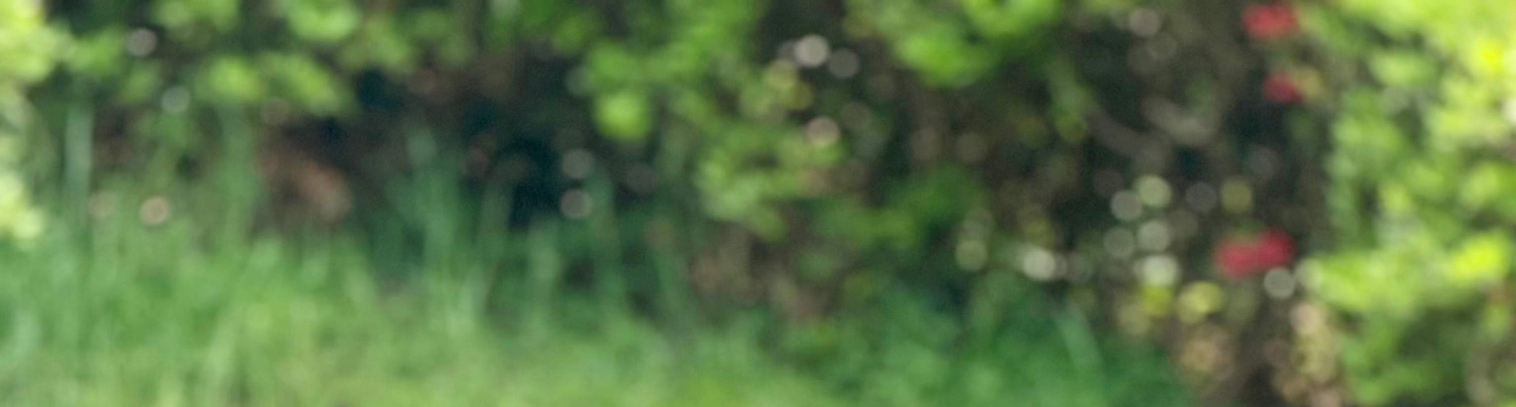 ชุดฮันบกให้เช่า Haeon Hanbok ที่ถนนแฮรีดันกิล, ปูซาน