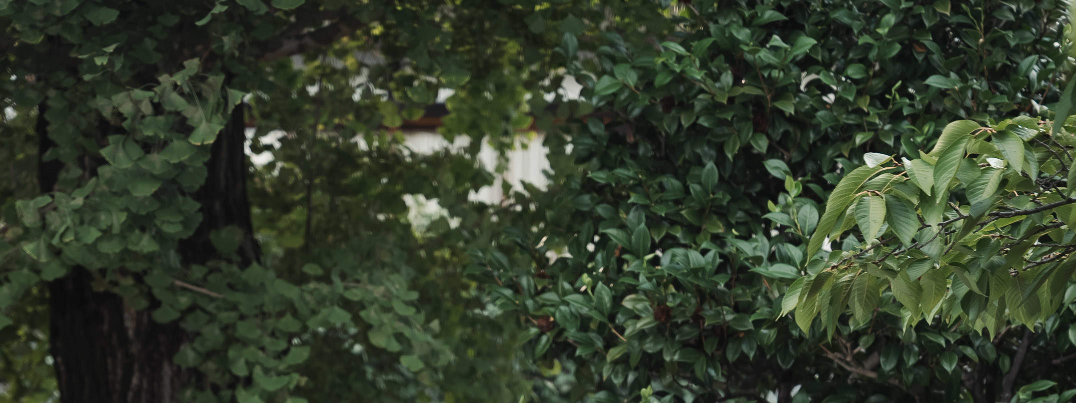 Séance photo de localisation en kimono.