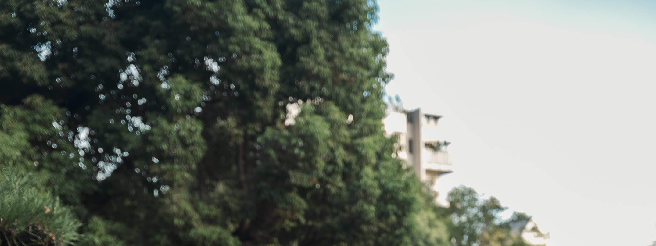 Séance photo de demande en mariage.