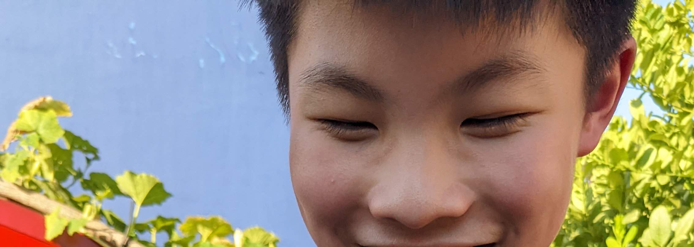 Begegnung mit Regenwürmern und Wurmkompostierung