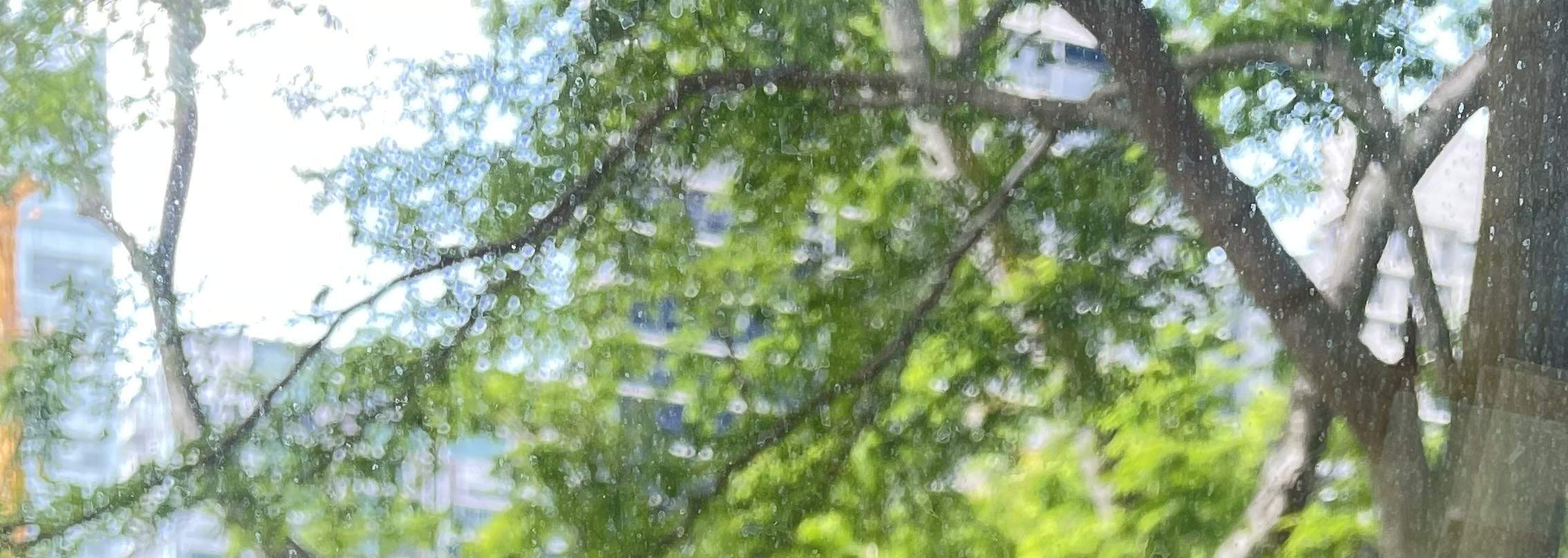 เจลเหมาะสำหรับทุกคน