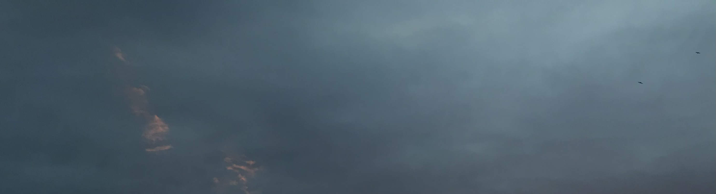 夕阳游艇巡航：美酒、音乐、小吃与趣味知识