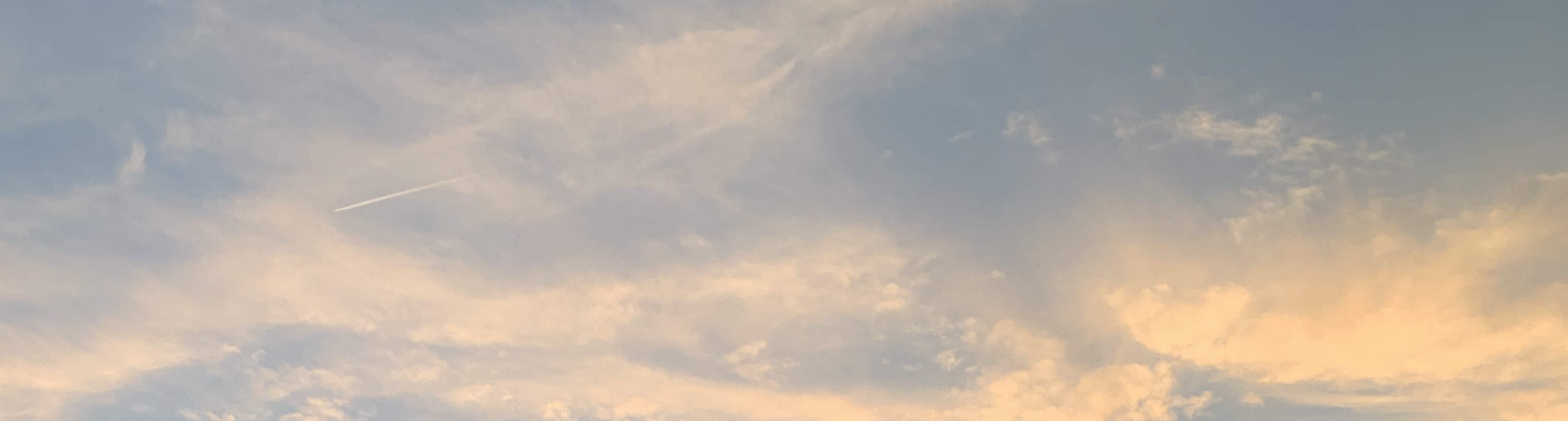 夕阳游艇巡航：美酒、音乐、小吃与趣味知识