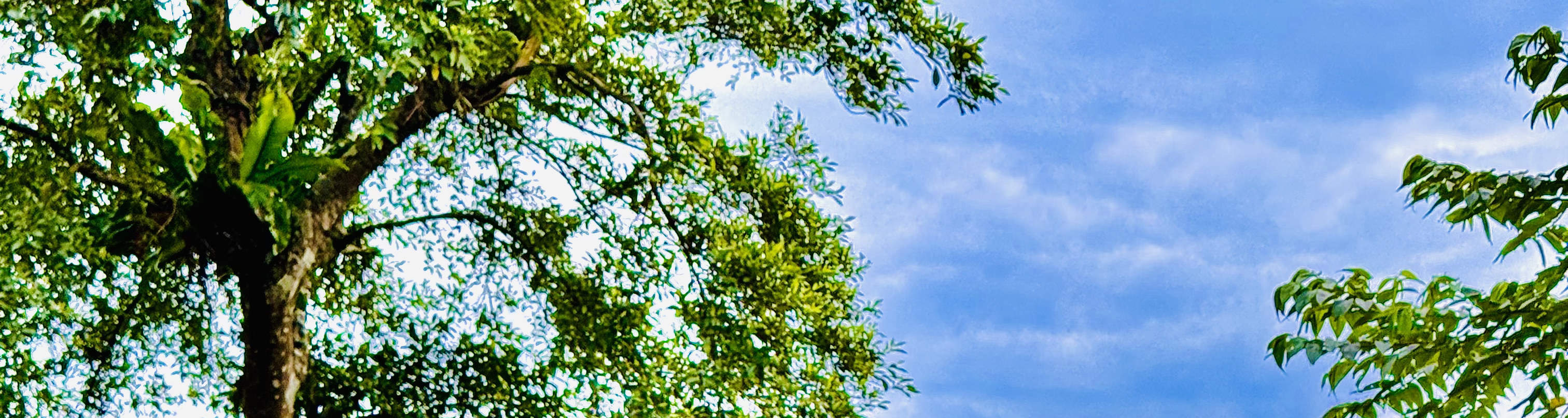 Yilan : Camping tout confort sans tente à Dongao