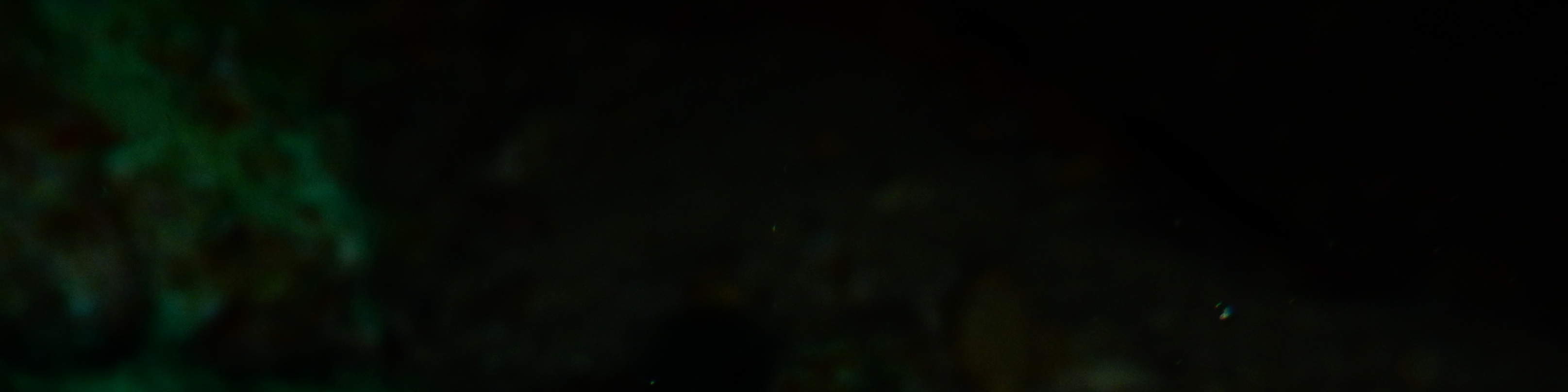 PADI高氧空气潜水员