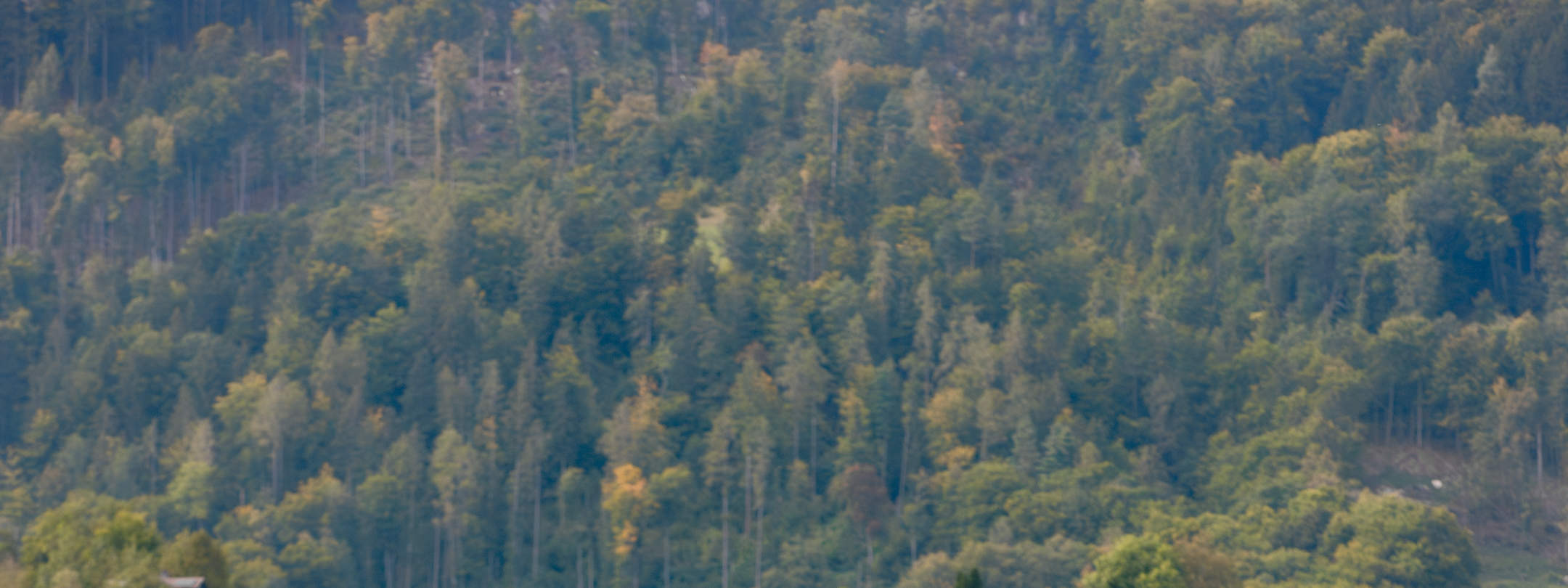 Cozy Chocolate Fondue Float di Interlaken