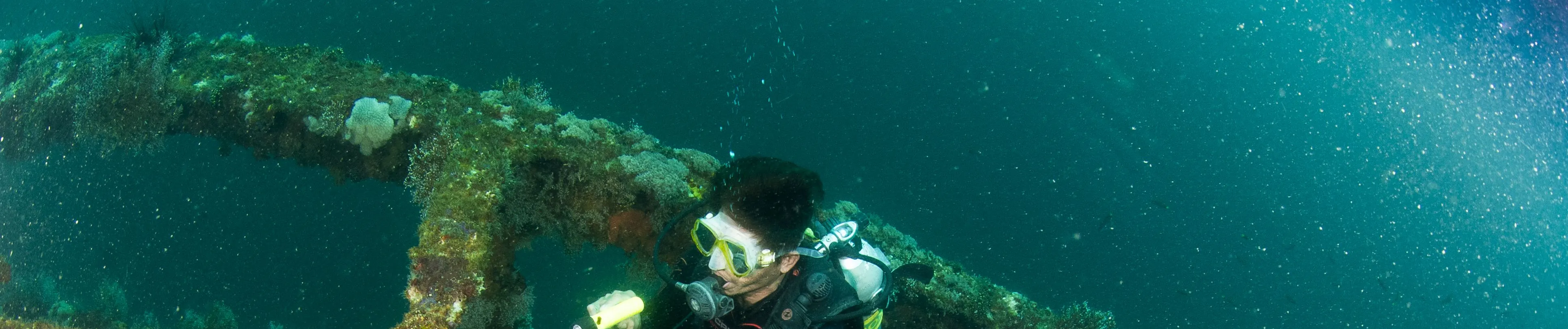 PADI 高级开放水域潜水员