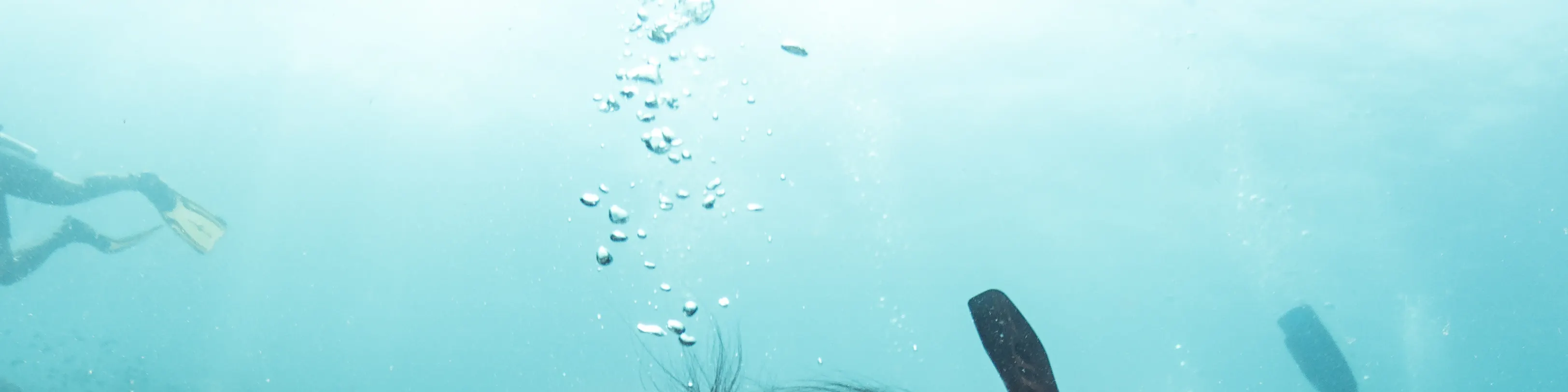 探索水肺潜水