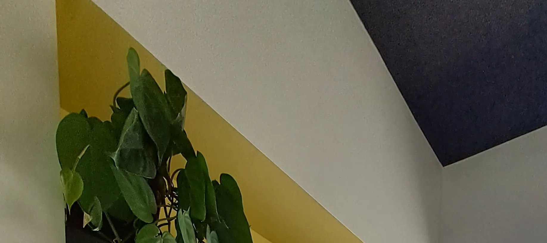 零售展示
