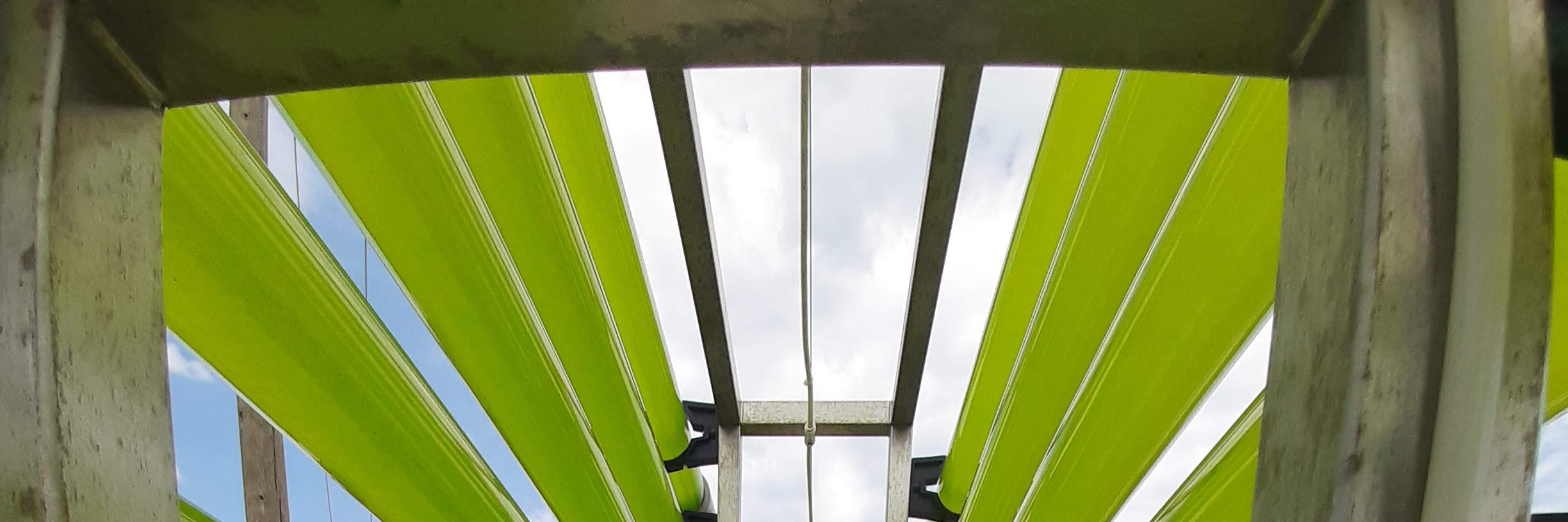 이비사 생명공학 식물원 투어