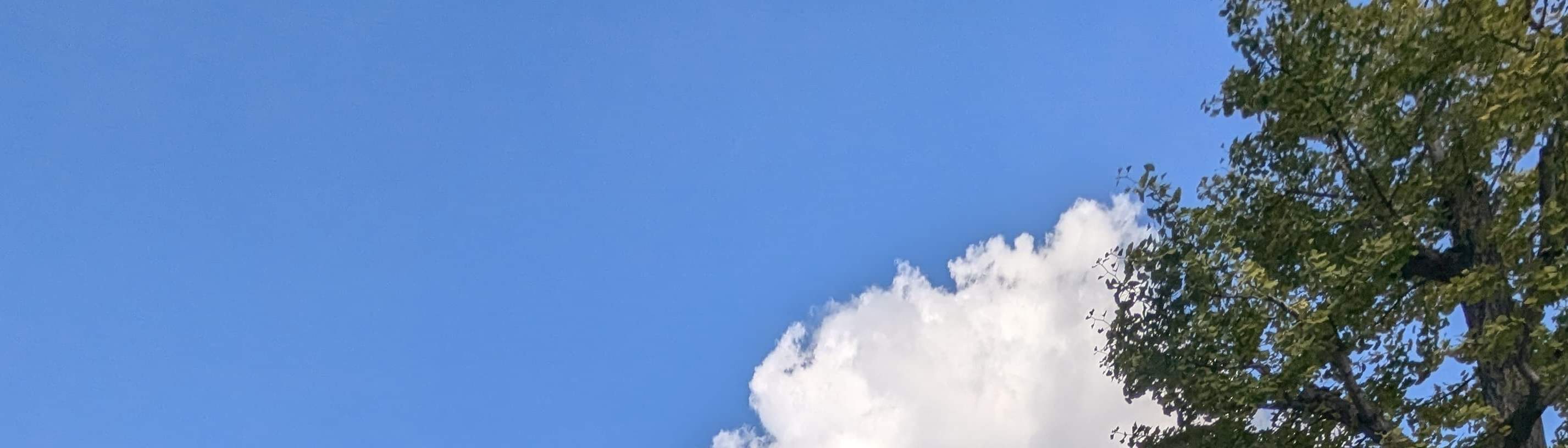 Pengalaman Can-Am On-Road di Asakusa