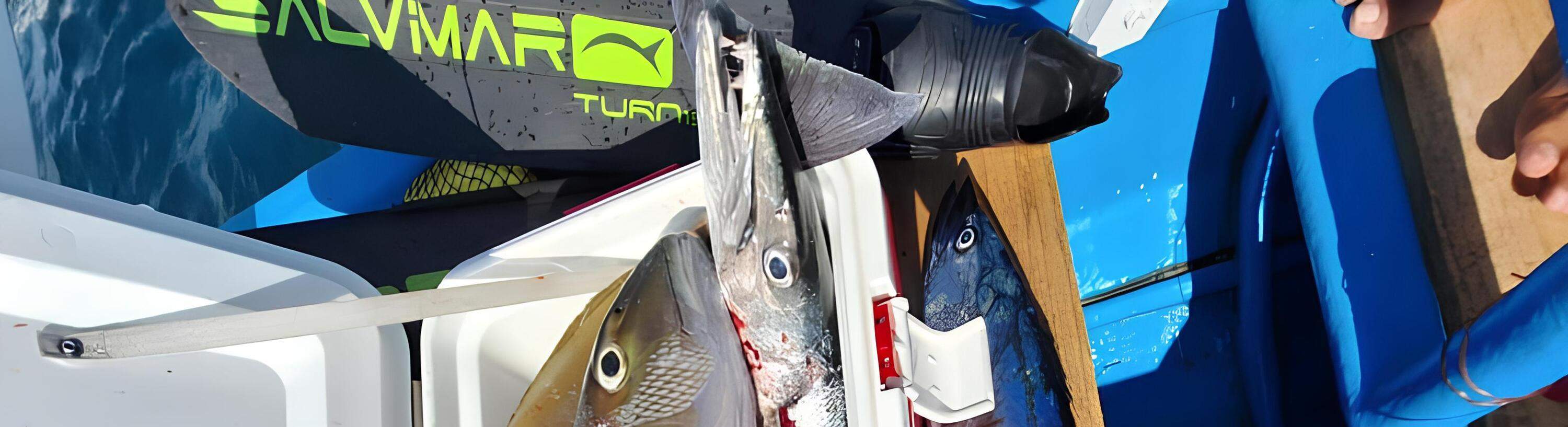 本次旅程釣到的魚