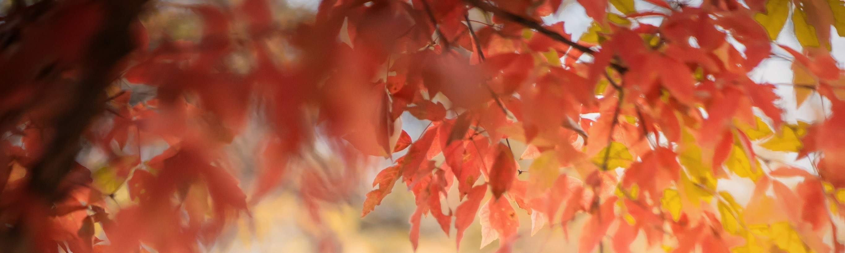 首爾韓服租賃體驗