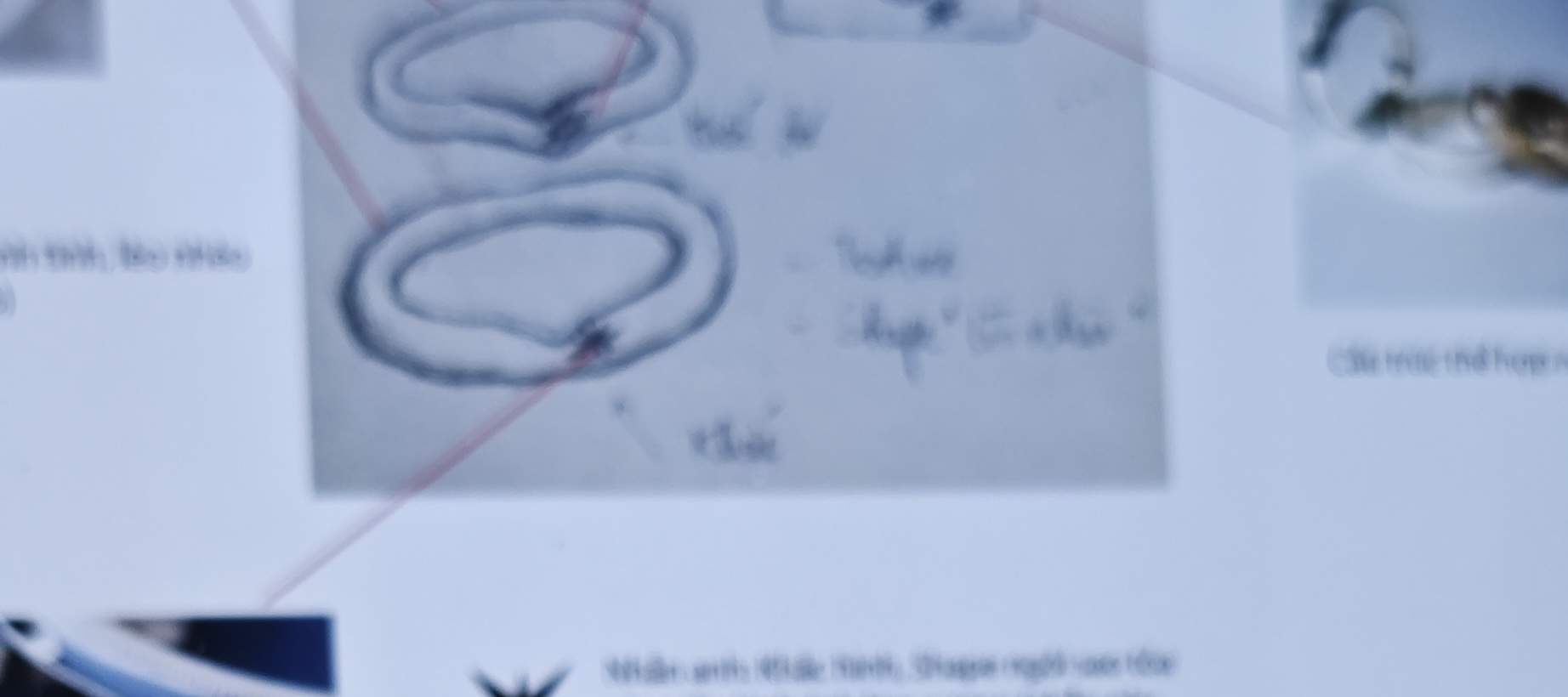 Clase de Elaboración de Joyería de Plata en Hanói