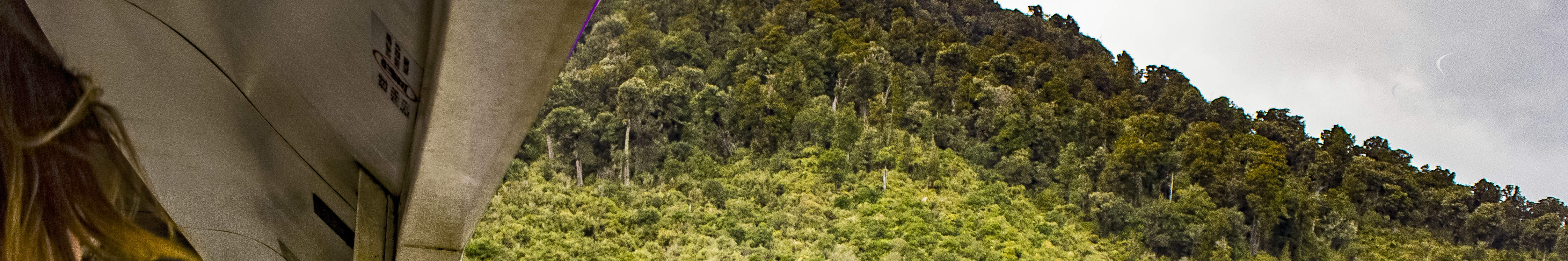 Disfrute de vistas espectaculares desde su ventana mientras recorre la ruta en tren de Auckland a Wellington