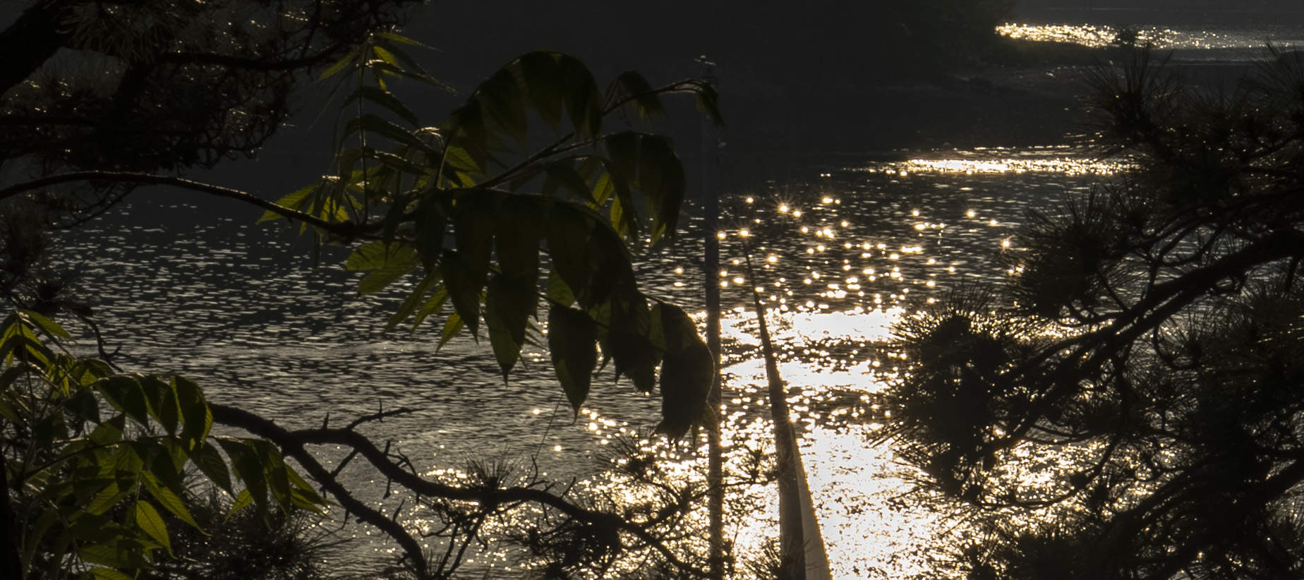 Senti la quiete luminescenza dell'iconico mare notturno di Yeosu, proprio come è.