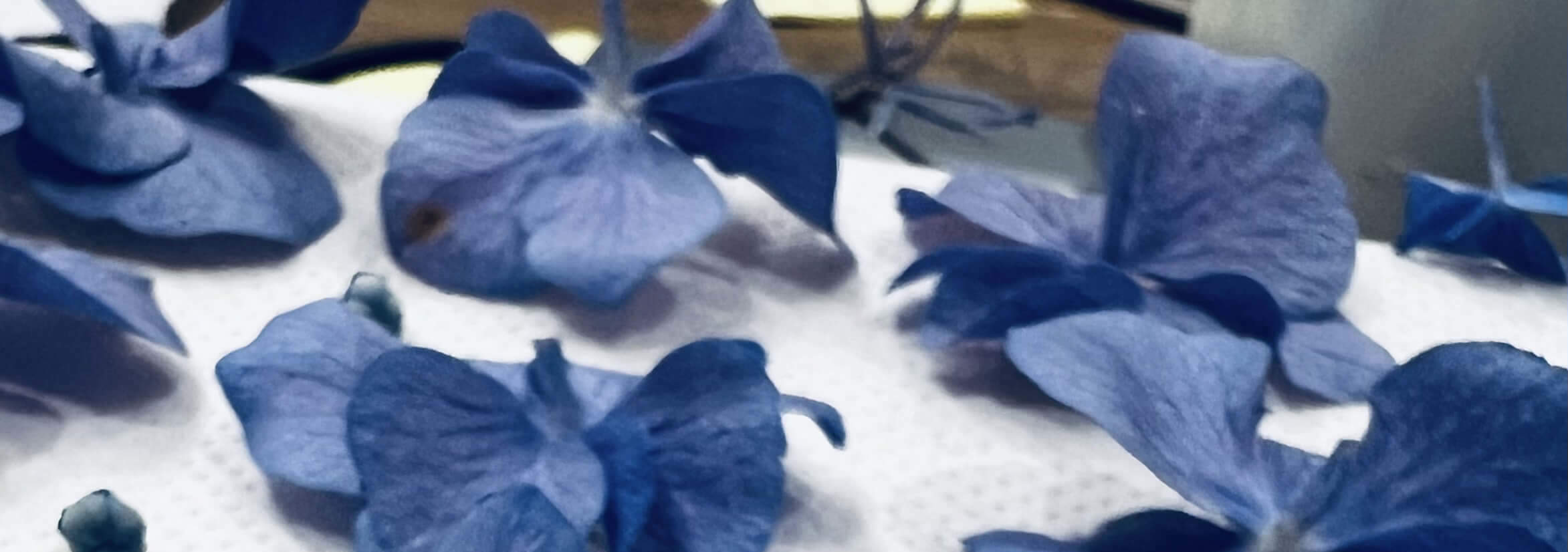 Japanese Press Floral Design Hana En