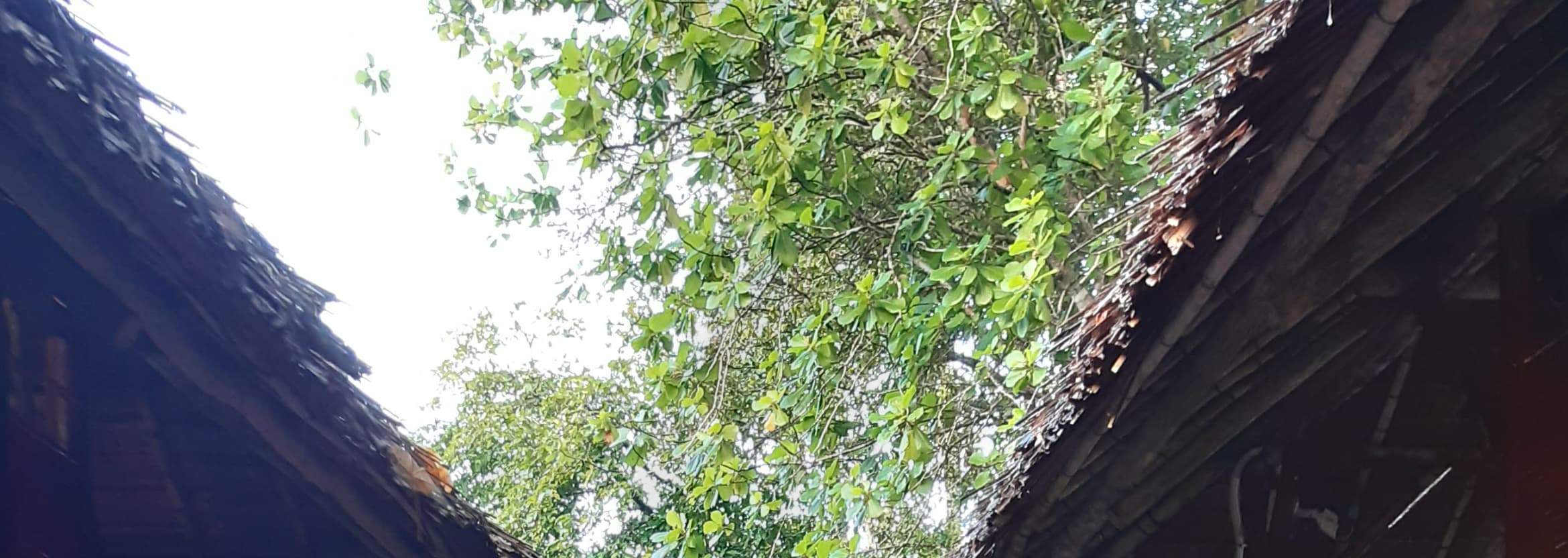 Jalan Setapak Spa Setelah Hujan Sore yang Menyegarkan