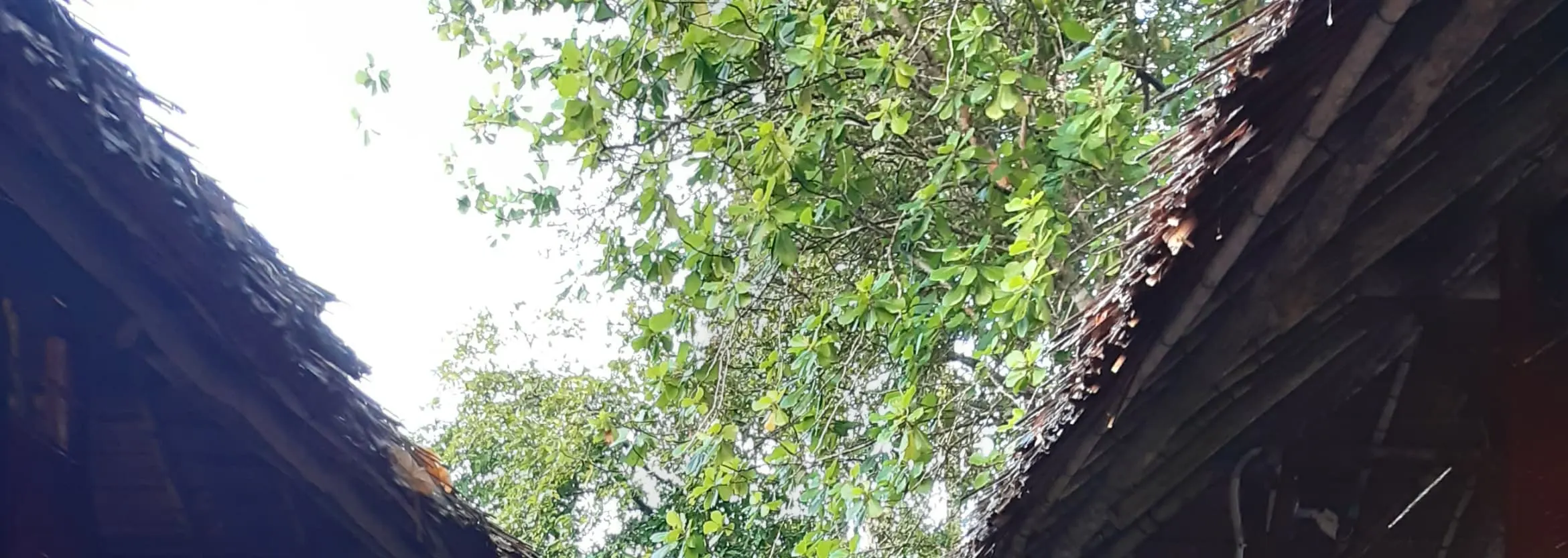 雨后清爽的Spa步道