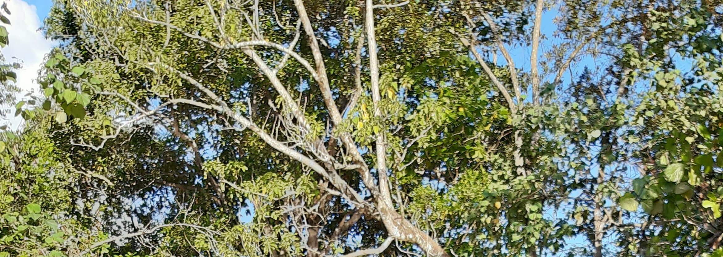 Pengaturan Spa Unik di Atas Panggung di Bintan