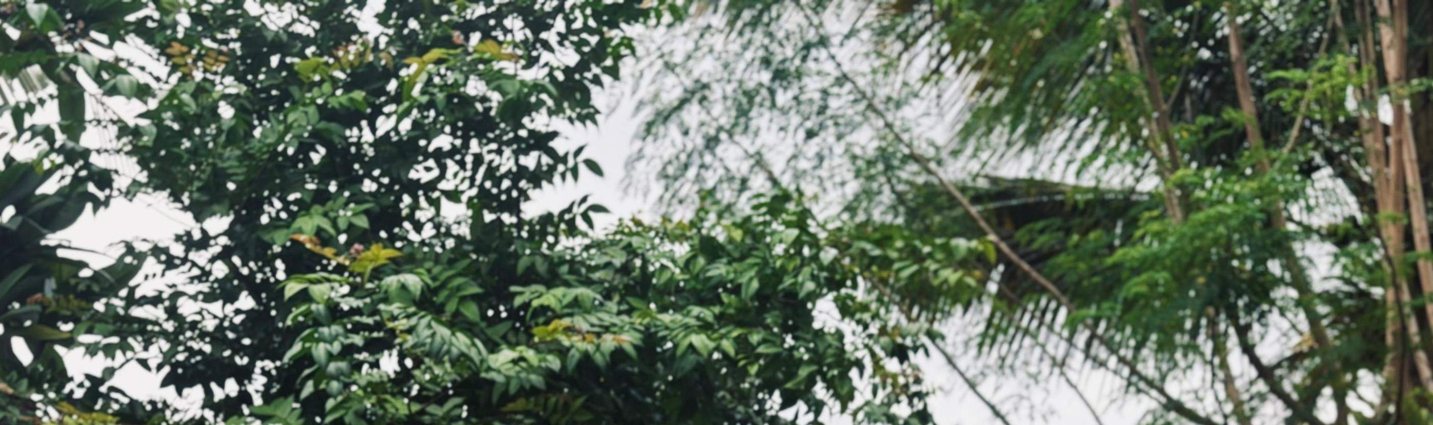 Five Art Studio Ubud