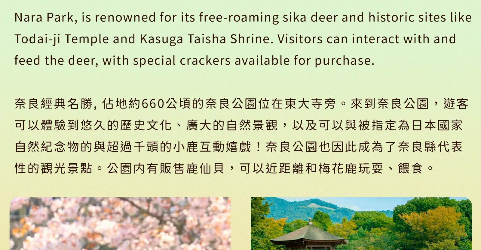 Satu Ke Rang Arima Onsen x Pasar Kuromon x Taman Nara Kanga x Tur Satu Hari Todaiji ...