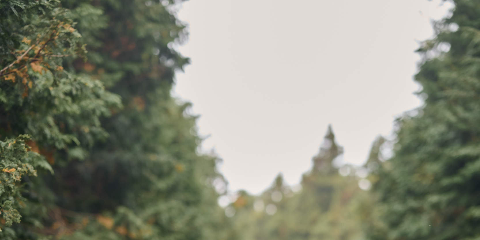 Jeju Tour Snap Photography: Servizi fotografici per famiglie e coppie