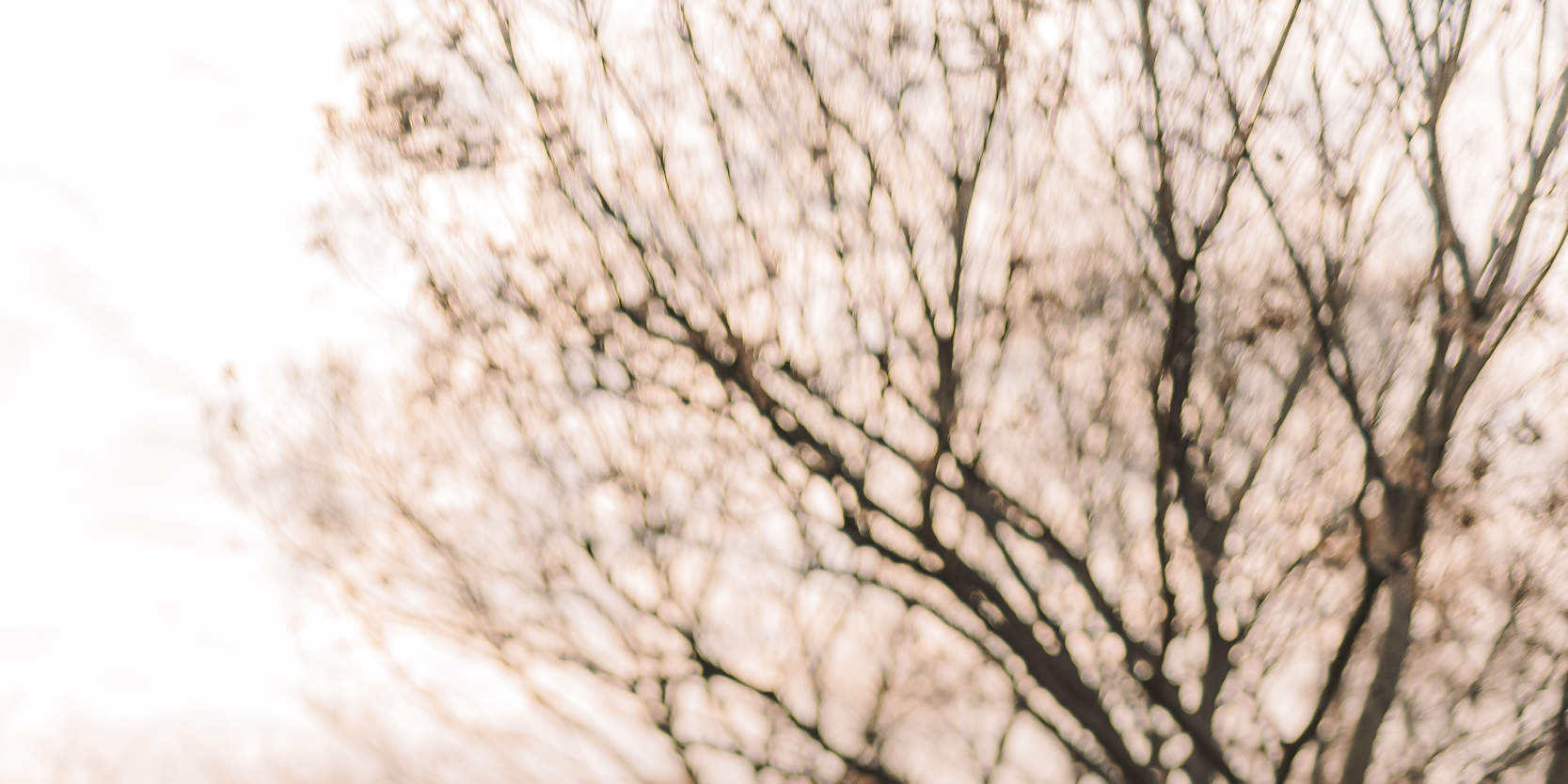 깜짝 프로포즈 사진 촬영 & 플래닝