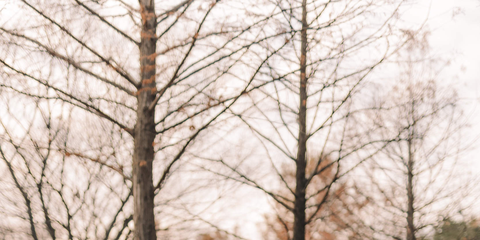 Séoul en images : Expérience photographique