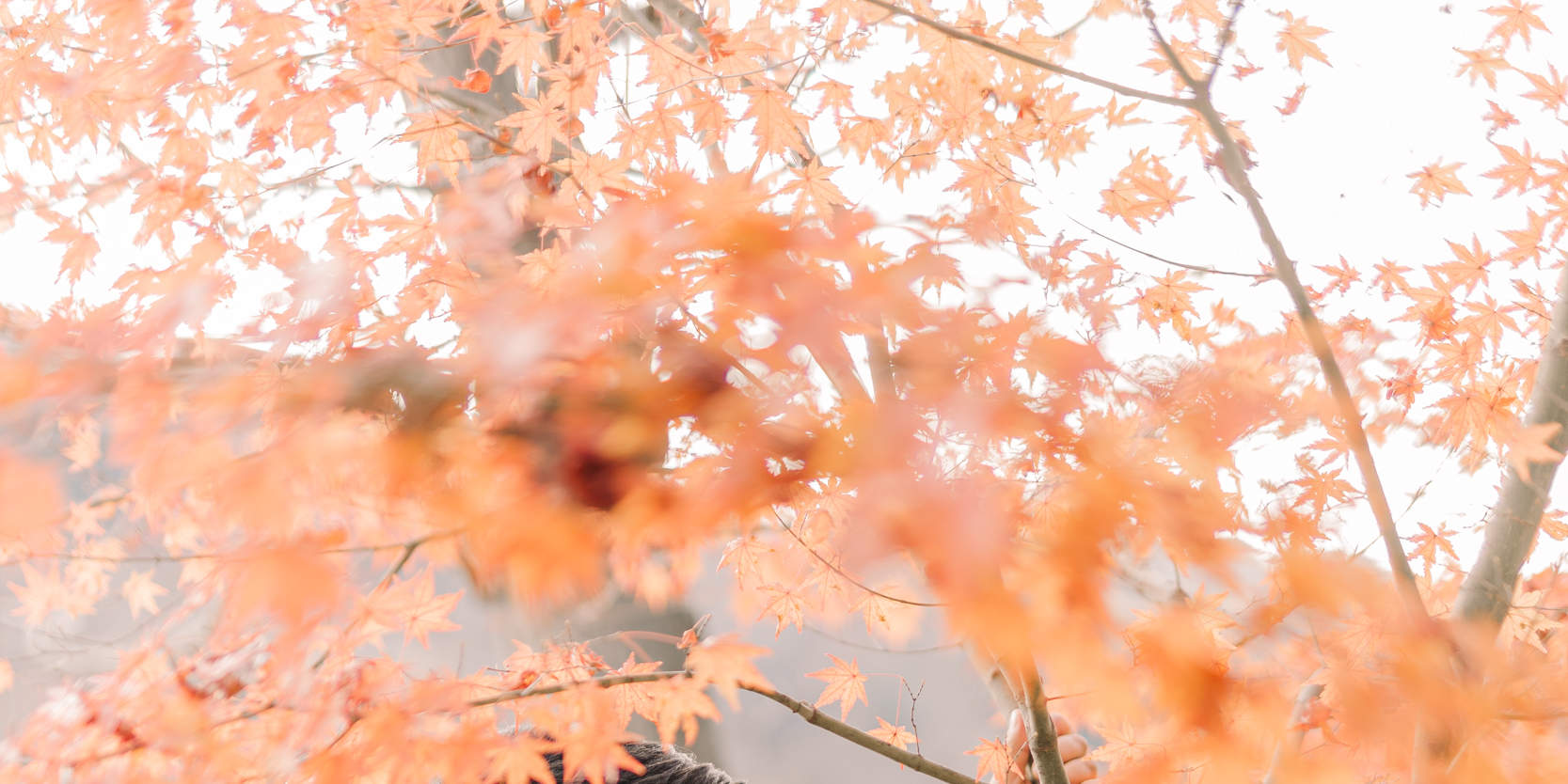 서프라이즈 프러포즈 사진 촬영 & 기획