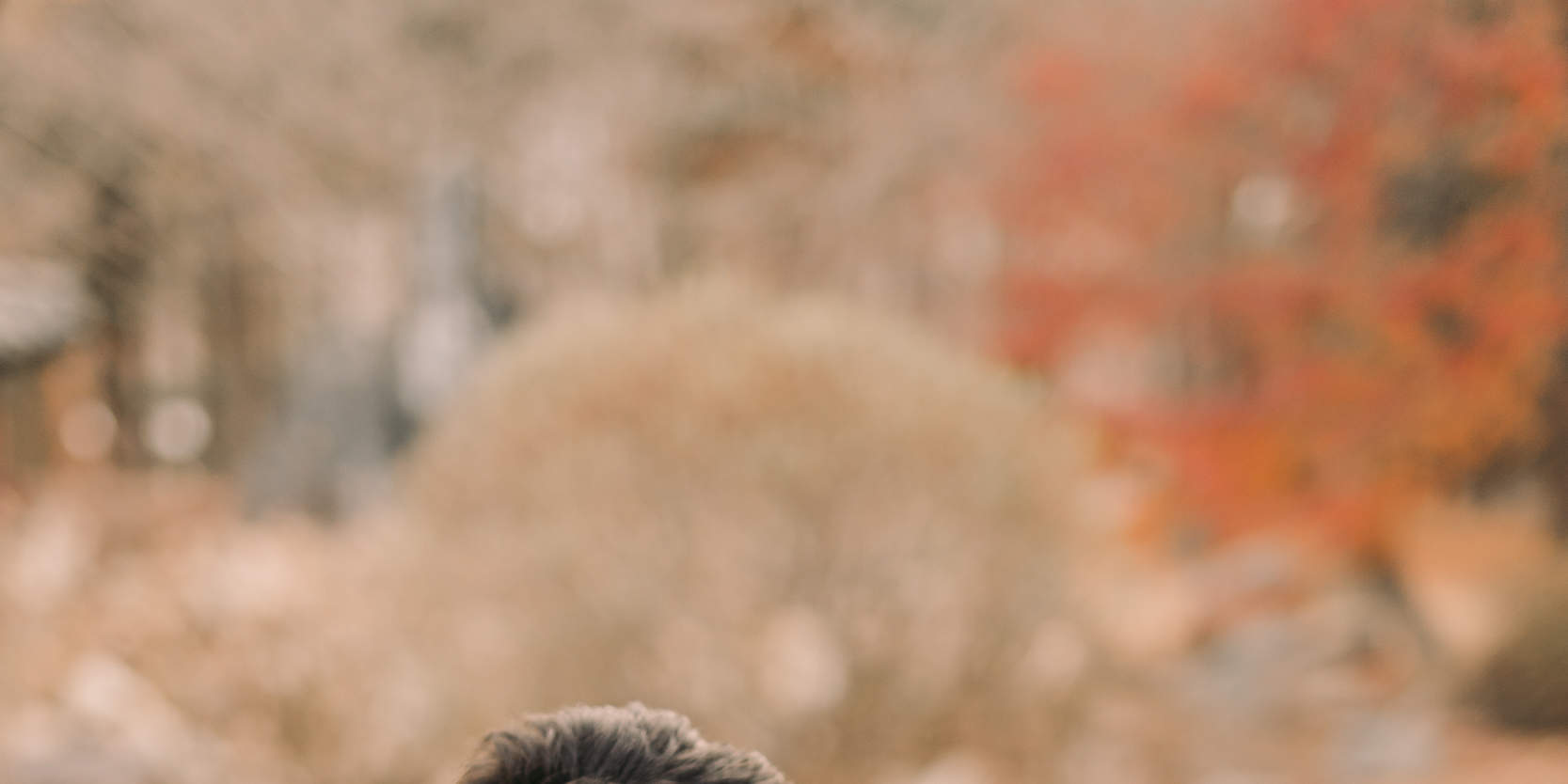 서프라이즈 프러포즈 사진 촬영 & 기획