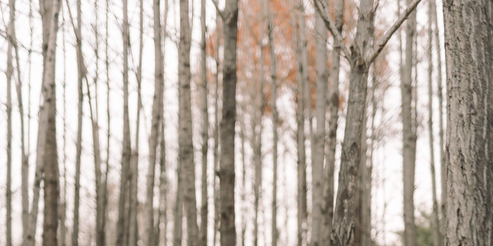 깜짝 프로포즈 사진 촬영 & 플래닝