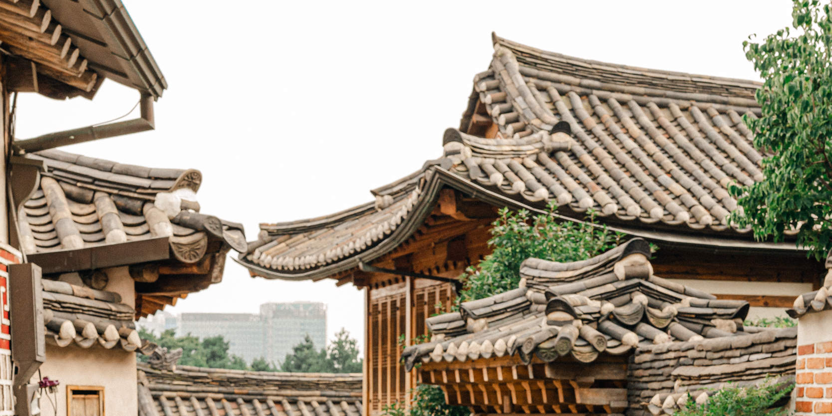 Pemandangan Seoul: Pengalaman Pemotretan