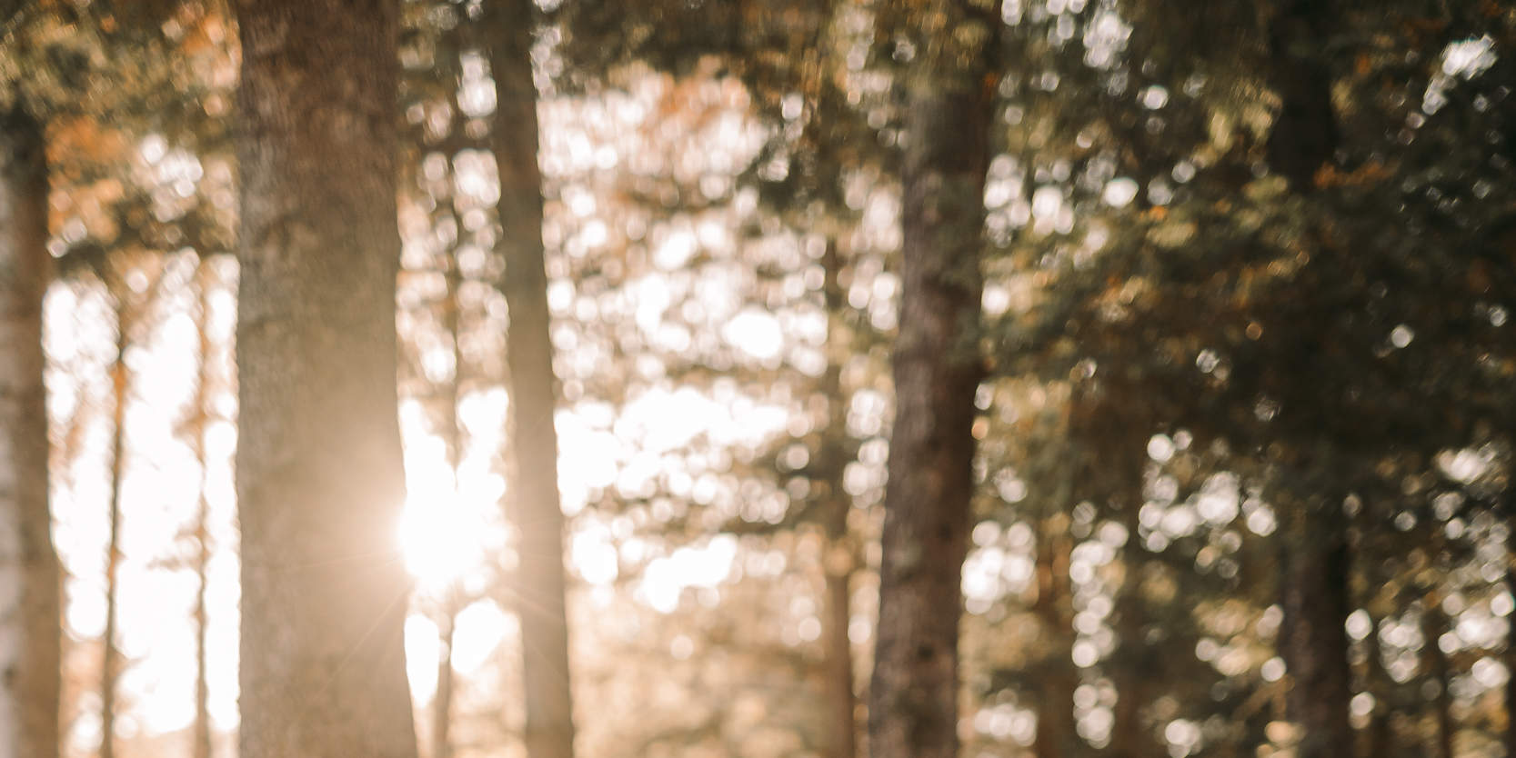 Фотография и планирование неожиданного предложения