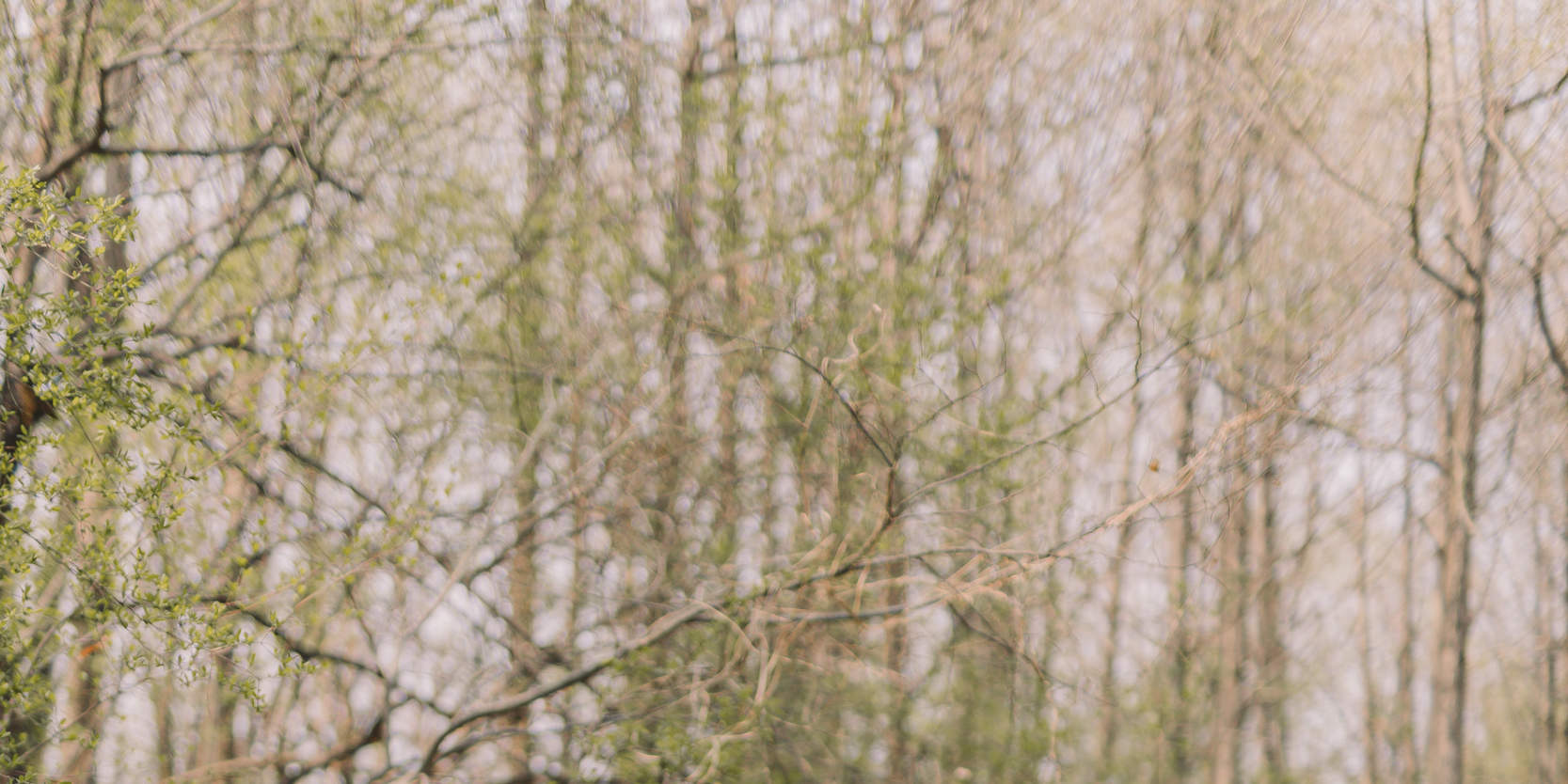 Фотосъемка и планирование предложения руки и сердца