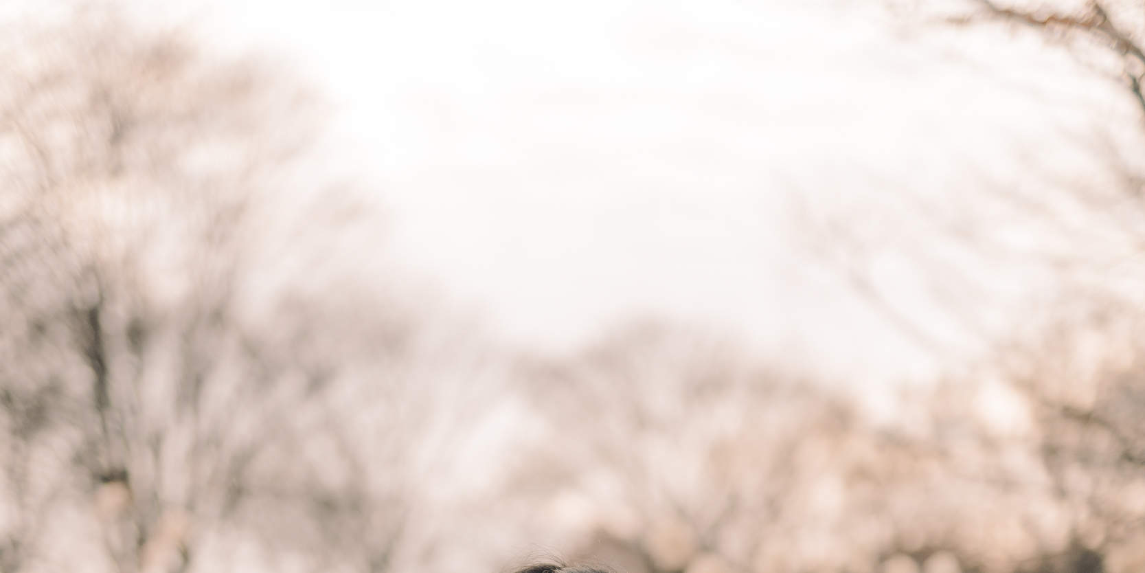 깜짝 프로포즈 사진 촬영 & 플래닝