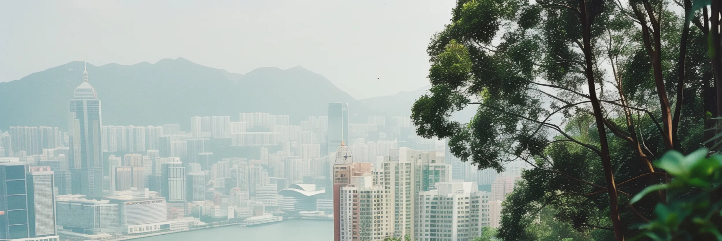 【香港—太平山顶】随着缆车缓缓上升，城市的喧嚣逐渐远去。站在太平山顶，仿佛踏入了香港的云端之上