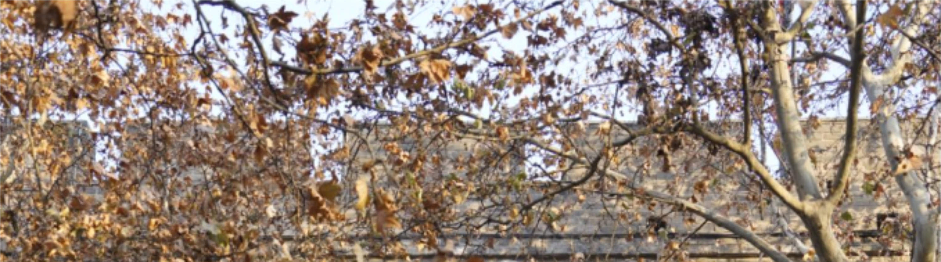 Shaanxi Xi #39 an City Wall Ticket   Guide (Interesting Chinese Guide