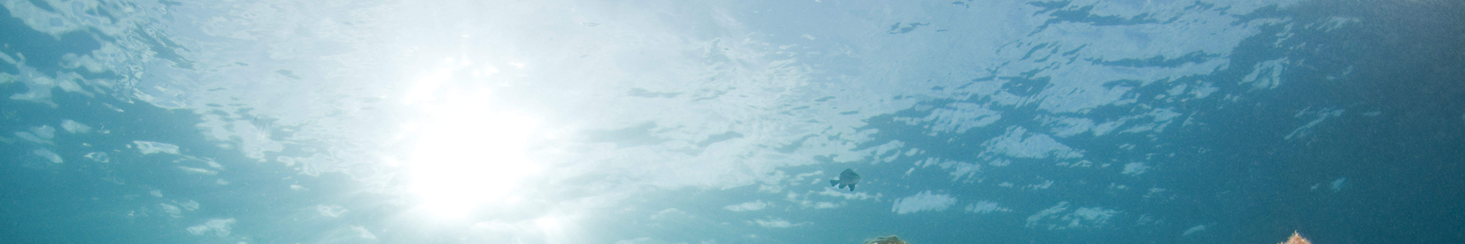 PADI Advanced Open Water Diver