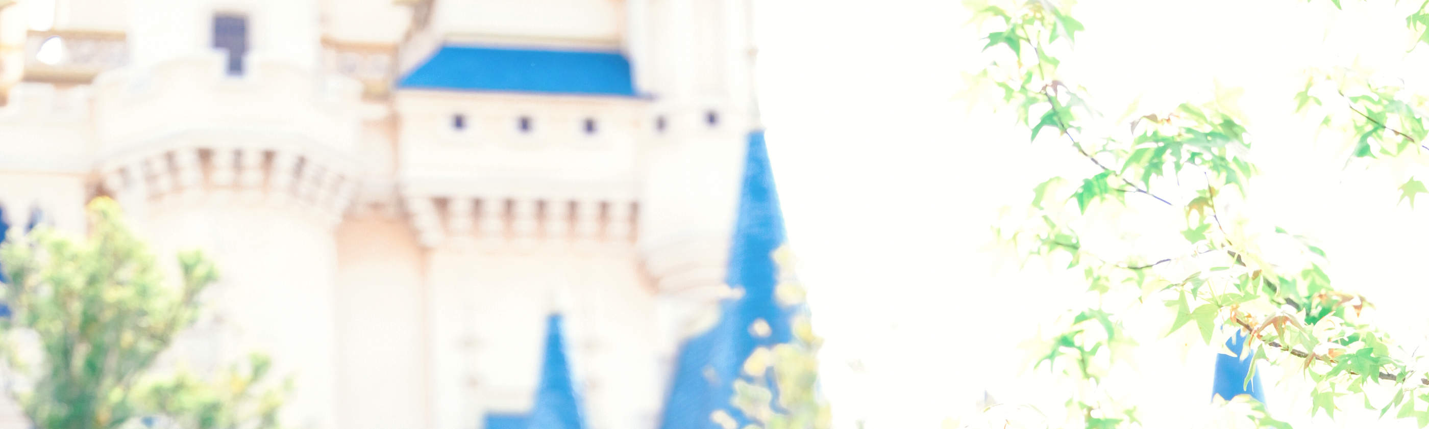 照片拍攝（可遠赴富士山、輕井澤、鎌倉、川越等地）