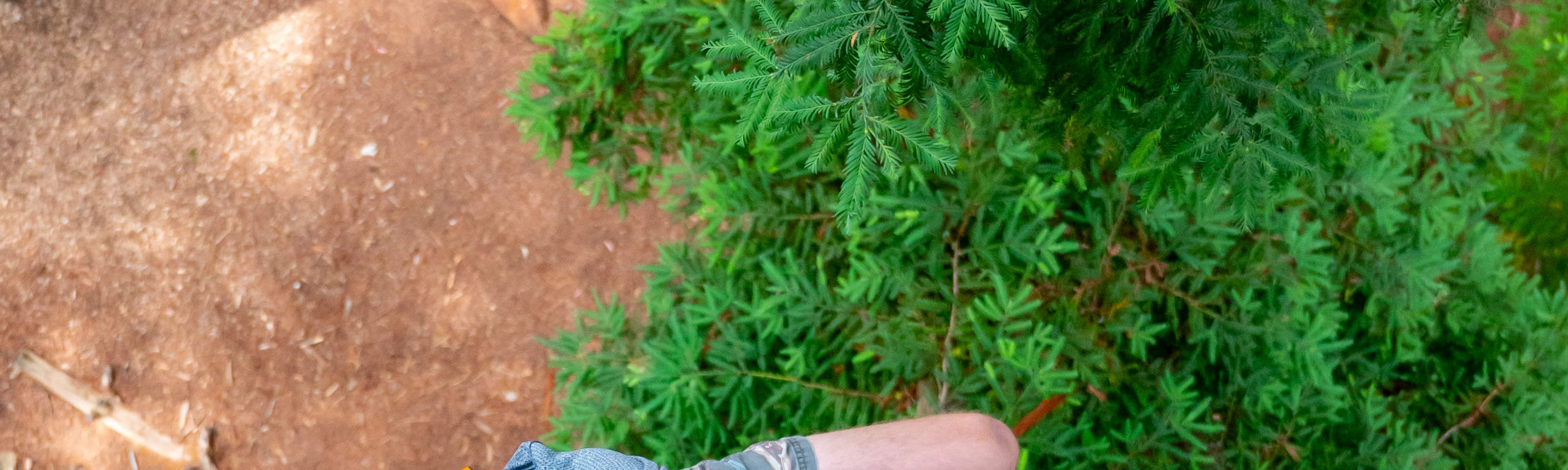 лазание по лестнице