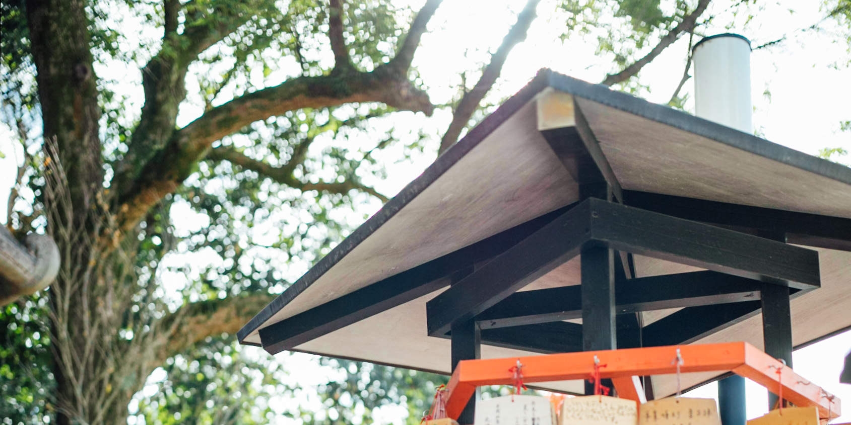 清水寺 和服租赁