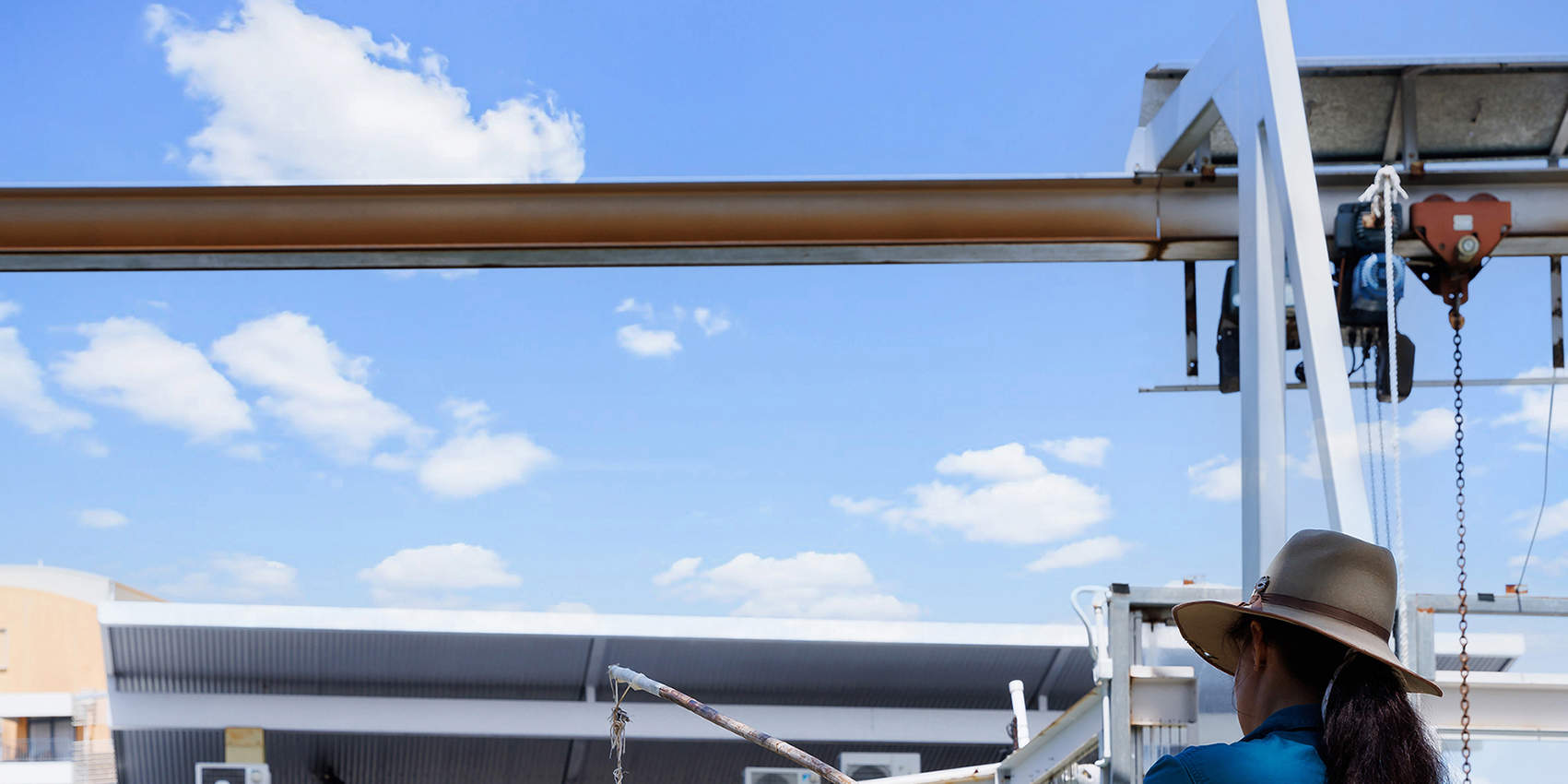 Билет Croc and Darwin