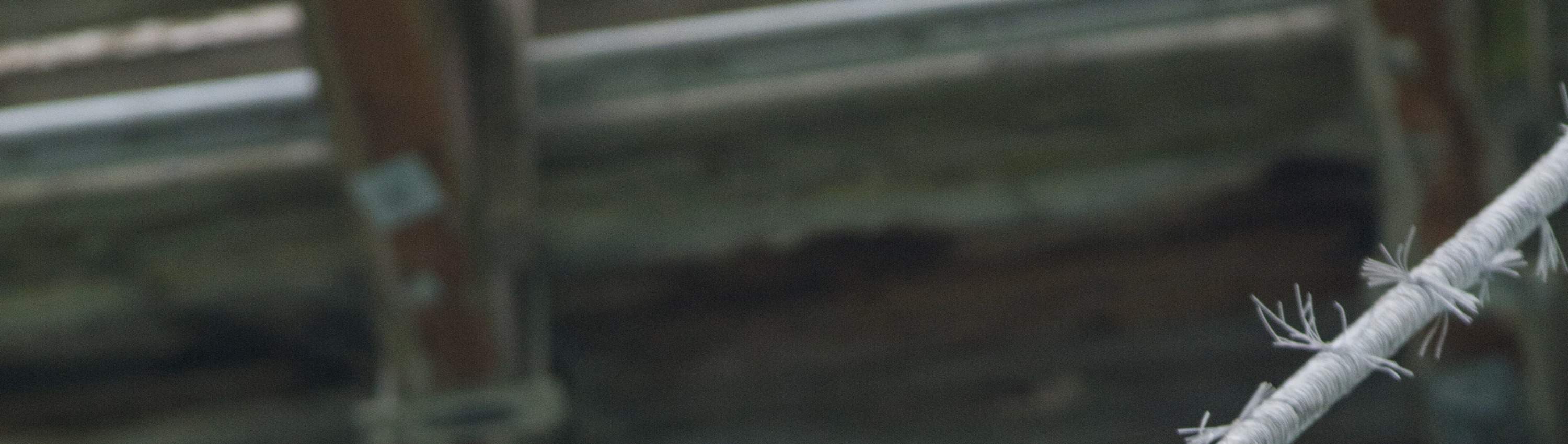 35-метровый банджи-джампинг в Hanmer Springs