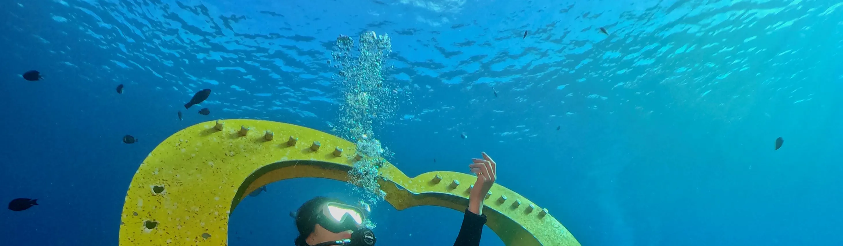 台东: 绿岛水青潜水旅宿潜水体验