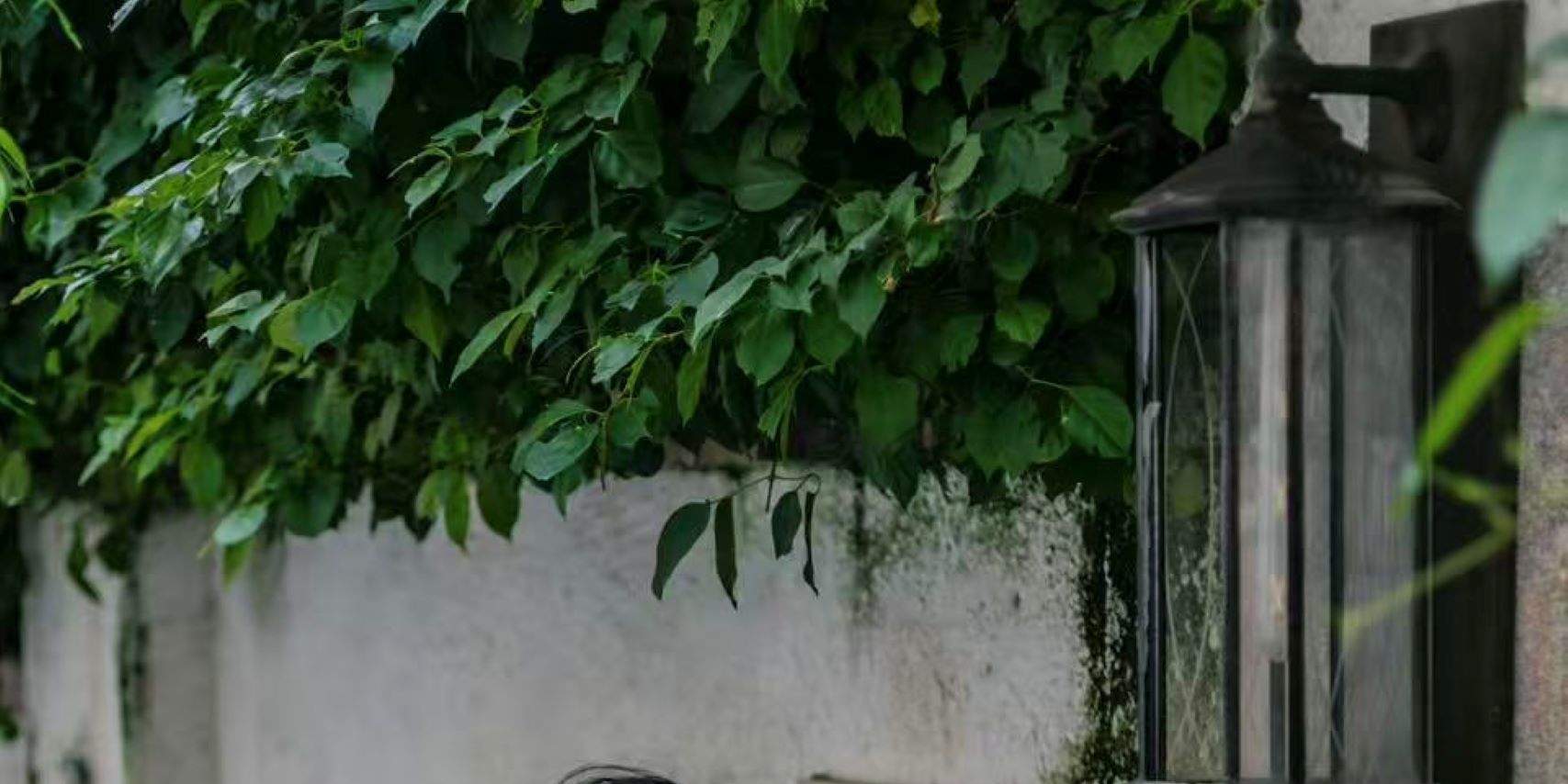 Expérience de voyage et de photographie à Xiamen Gulangyu (maquillage en option + prise de vue en extérieur avec photographe en option + plusieurs styles au choix)