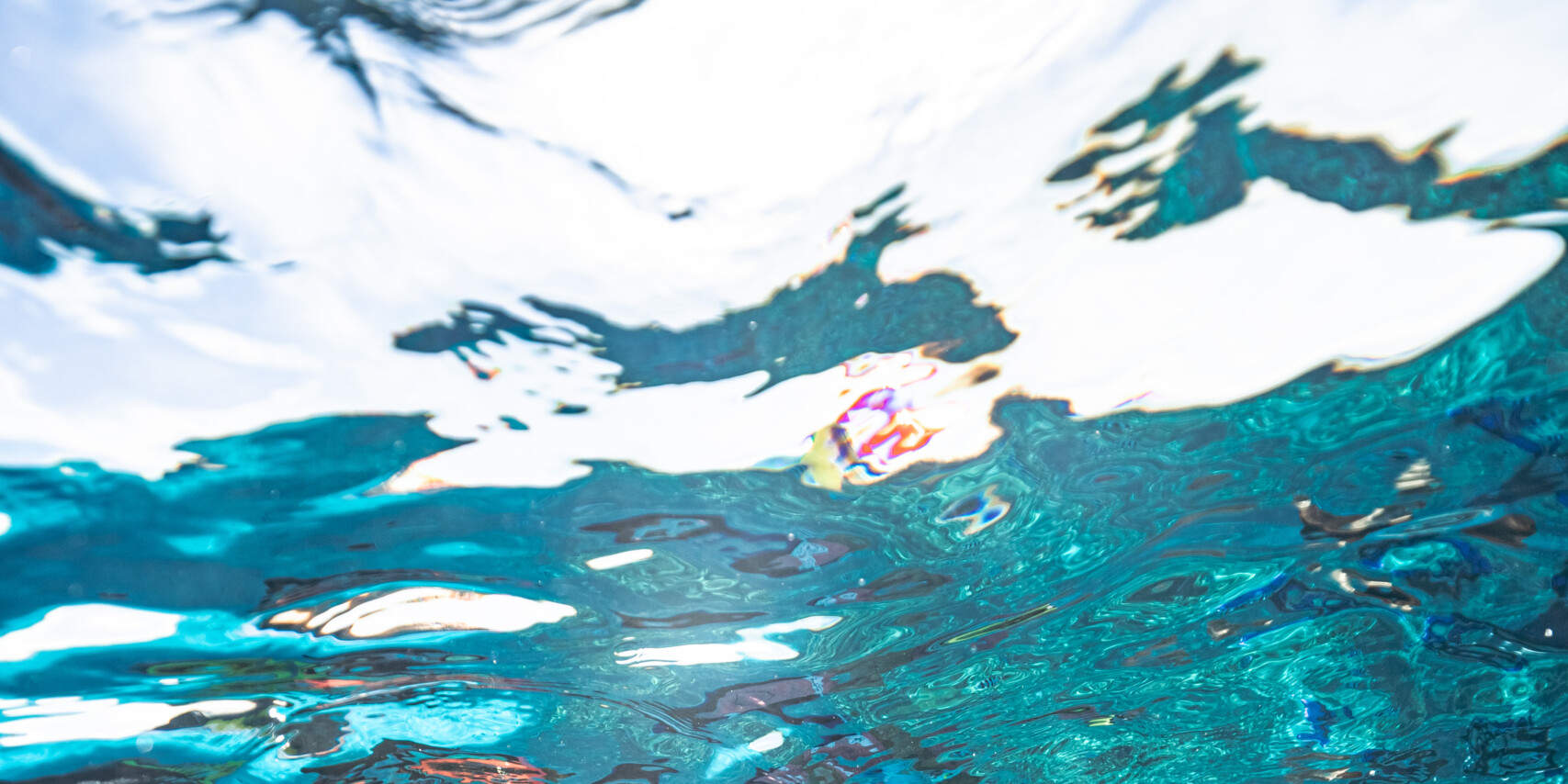 Pengalaman Konservasi Marin Pulau Kuata Lawatan Sehari Penuh